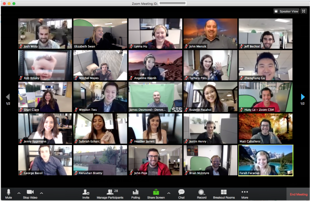 Zoom virtual conference remote working